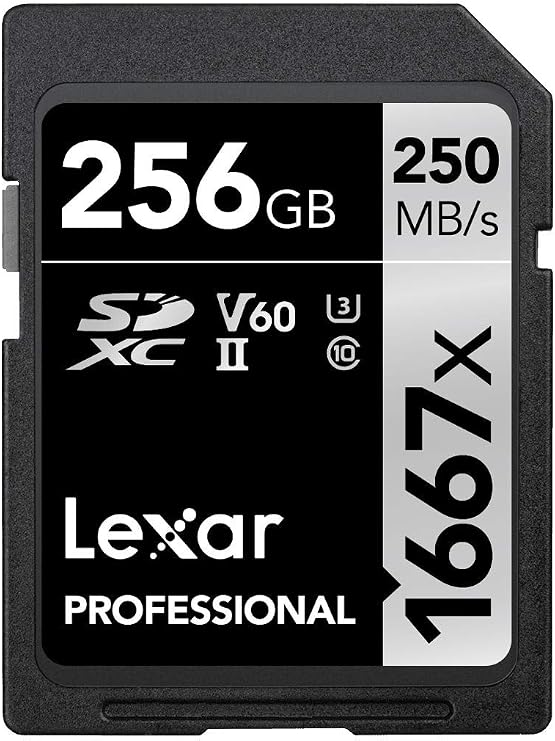 Lexar Professional 1667x SD Karte 256GB SDXC UHS-II