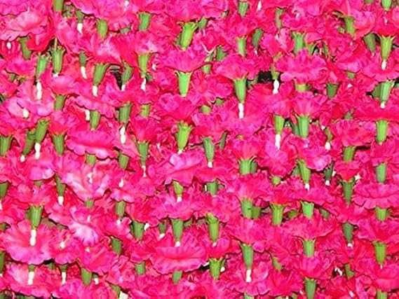 Genx 5 Piece Artificial Pinkish Marigold Flower Garlands/Strings 5 ft Long- for use in Parties, Celebrations, Indian Weddings, Indian Themed Event, Decorations