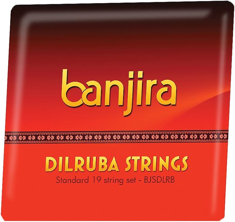 Dilruba String Set