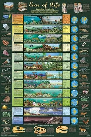 123Posters (24x36) Laminated Eras of Life Poster Educational Science Chart