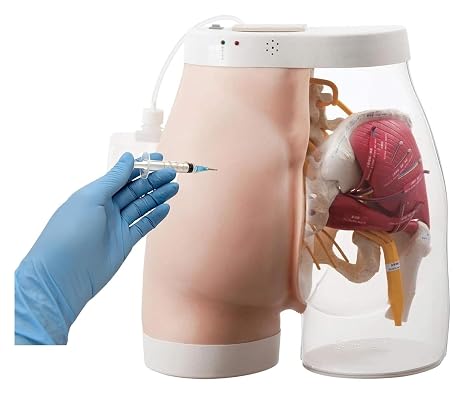 Butt Injection Practice Model, Buttocks Muscle Injection Training Simulator with Light Prompt, Translucent Buttocks Muscle Injection Practice Model, Easy to Observe and Explain