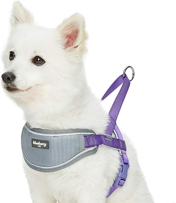 Blueberry Pet Purple Dog Harness, Medium Sized, Small Dog Harness, Puppy Harness, Reflective Nylon Vest, Adjustable for Small Dogs, Large Dog Owners, Pet Trainers, Active Pet Parents
