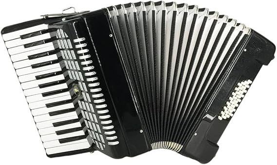 25-Key 16-Bass Accordion, Black, Beginner to Professional, Portable, Case Included
