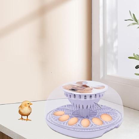 Egg Incubator For Hatching 12 Eggs Automatic Turning 35w Digital Poultry Hatcher Machine General Purpose Incubator for Duck, Goose, Quail, Parrot, And Peacock-26*14*26cm, UK Standard, Chicken Tray