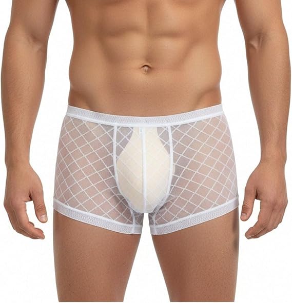 SUMABA Men's Sexy Mesh Underwear Briefs See Through Sheer Boxer Briefs with Pouch