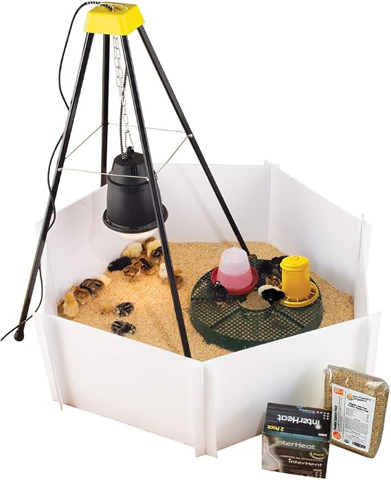 Premier 1 Chick Heat Lamp Brooder Kit Warms Up to 24 Chicks