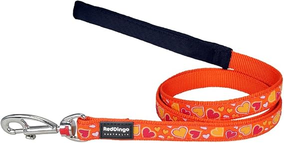 Red Dingo Designer Dog Lead, Medium, Breezy Love Orange