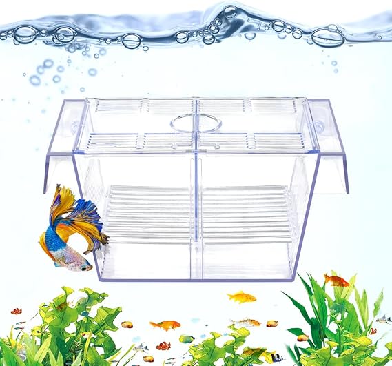 DaToo Fish Breeding Box Aquarium Holding Tank Transparent Fish Isolation Box Acclimation Hatchery Incubator Breeder for Betta Shrimp Clownfish Guppy