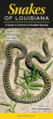 Snakes of Louisiana: A Guide to Common & Notable Species