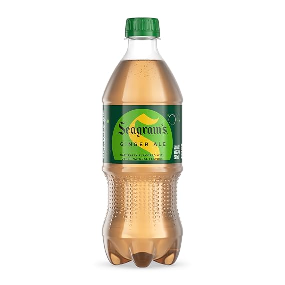 Seagram's Ginger Ale Soda Soft Drink, 20 Fl oz