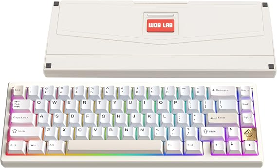 KEEBMONKEY WOBKEY Zen 65 65% Quick Release Wireless Mechanical Keyboard with RGB, CNC Aluminum Case, Hot-Swappable, VIA Support, BT/2.4G/USB-C Gaming Keyboard for Mac/Windows (Ultra White Gold)