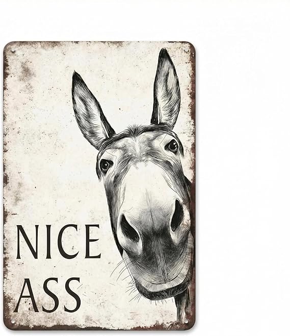 Funny Bathroom Wall Art Nice ASS Sign – Humorous Toilet Decor for Home, Office, Restroom Door – Vintage Metal Tin Sign 20x30cm – Rustic Farmhouse Gift for Men, Women, Coworkers (Donkey)