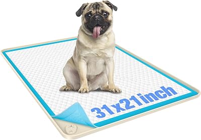 Aisslro Pet Feeding Mat, 31x21 Absorbent Pet Placemat for Food and Water Bowl, Non-Slip Silicone, Leak-Proof Floor Protection for Quick Dry Water Dispenser Mat for Dog and Cat, Aquamarine