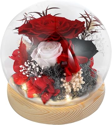 Preserved Rose Flower in Glass Dome - Elegant Wedding Gifts, Bridal Shower Gifts, or Graduation Gifts for Her - Perfect Bedroom Decor, for Mom Girlfriend