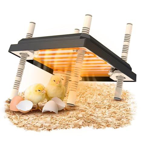 Brooder Heater For Chicks, Chick Brooder Heating Plate With Easy Clean Plate 10" X 10", Rutin Chicken Brooder For 15 Chicks, Adjustable Height Brooder Heater 15 Watts (Black)