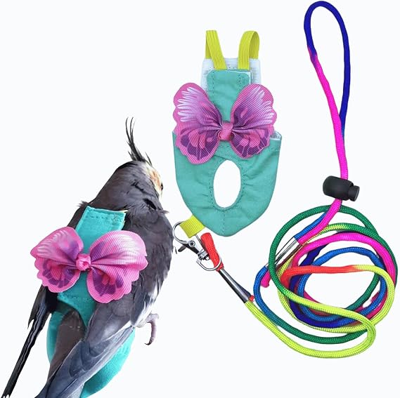 Bird Diaper Harness Flight Suit Clothes, Parrot Flight Suit with Leash for Parrot, Bird Flying Clothes for Outdoor Activities Training (with Leash,M)