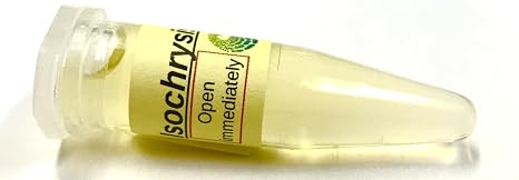 Algae Research Supply Algae Culture Isochrysis Galbana, Perfect for School Science Fairs/Projects, Experiments & Classrooms (1.7mL)