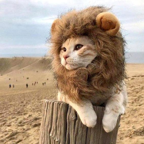 Lion Mane Wig For Cat, Lion Hair Headgear For Pet, Furry Dog Wig For Halloween, Cat Halloween Costume Accessories, For Christmas Easter Cosplay Party