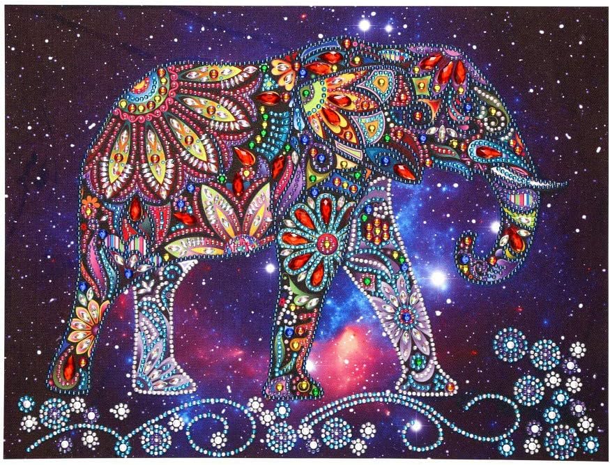 Ingzy Special Shaped Drill Diamond Painting Kits for Adults,5D Crystal Picture Art Cross Stitch Full Drill Artwork Mosaic Kit Wall Decor37x47CM