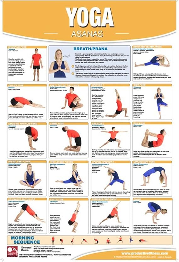 YOGA EXERCISES Home Gym Fitness Chart Poster Series (Laminated or Non-Laminated)