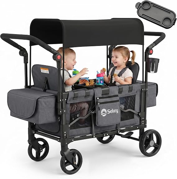 Sekey Luxer 6060 Children's Handcart Twin Mode Pushchair Double Seat