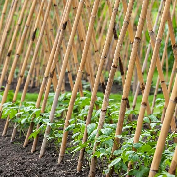 E-fidancim Fidan Dikim Destek Çubuğu (70-75 cm-) (10 Adet)