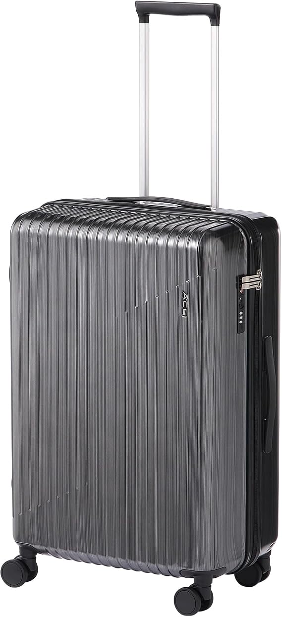 Ace Suitcase Double Wheel Caster with Caster Stopper, Carry Case Cresta 2, black hairline