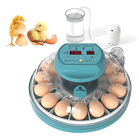 Egg Incubator for Hatching 15/30 Eggs Automatic Turning with Humidity Control and Display, Eggs Incubators for Hatching Eggs, Automatic Egg Incubator for Quail/Turkey/Pigeon (15 Eggs)