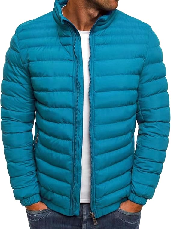 Men's Multicolor Lightweight Puffer Jacket Warmth Stand Collar Puffer Coat Solid Color Cropped Down Coats