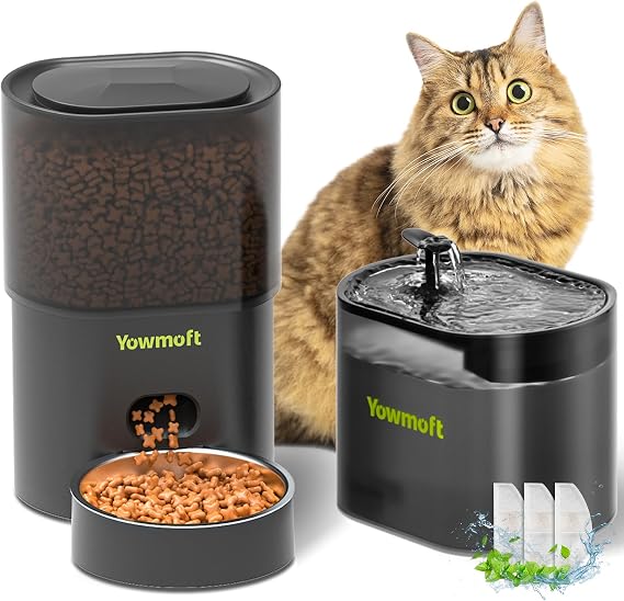 Automatic Cat Feeder and Water Dispenser for 2 Cats