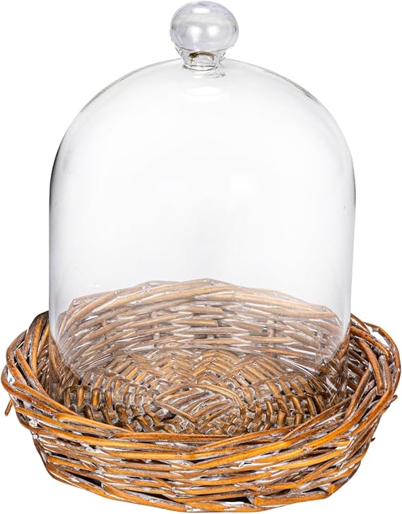Creative Co-Op Round Glass Cloche with Woven Willow Base, Clear