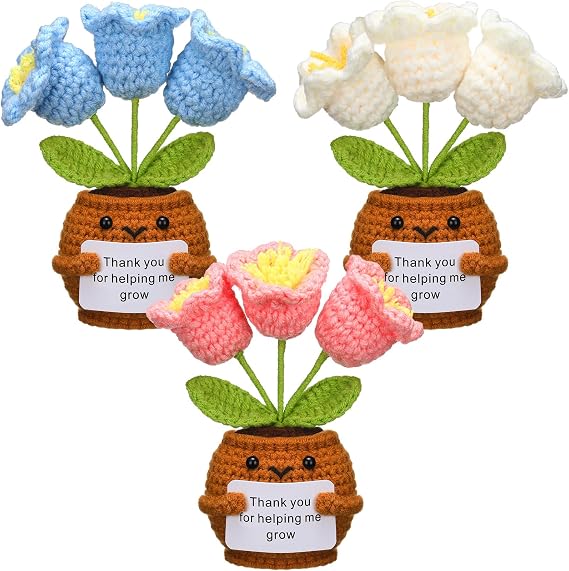 Wavwavw 3 Pack Teacher Gifts, Bell Orchid