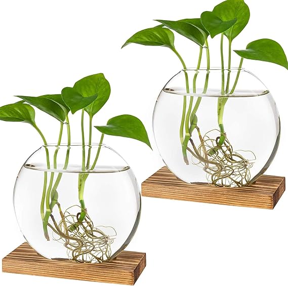 Kingbuy Round Glass Desktop Planter with Wooden Stand - Propagation Station for Small Hydroponic Plants, Spider Plants, Pothos, Lucky Bamboo - Terrarium Vase for Home Office Decor, 2-Pack, Brown