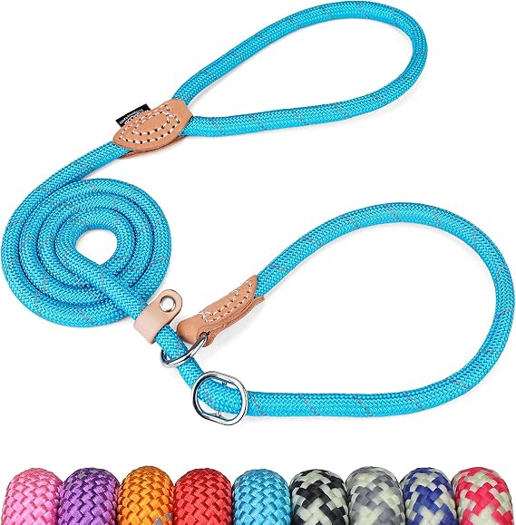 Grand Line Slip Lead Dog Leash - No Pull Training Dog Lead with 5ft Reflective Rope, Durable & Collar-Free for Small, Medium, Large Dogs and Puppies (Blue,S)