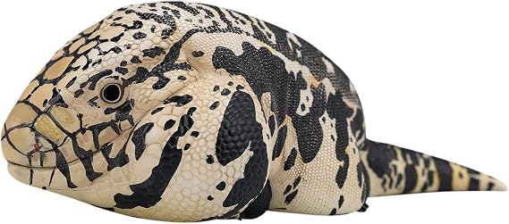 IFiDEA Animal Heavenly Body Series 16 Reptile Chubby Collectible Figurine - Handcrafted Lizard Statue, Realistic Amphibian Sculpture Salvator Merianae - Argentine Black and White Tegu