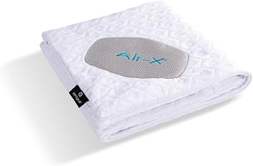 Bedgear Dri-Tec Performance Pillow Protector, Moisture-Wicking Cooling Pillow Cover with Airflow Technology | Breathable, Protective Pillowcase with Zipper | Machine Washable Pillow Protector, Queen