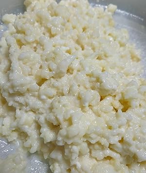 Milk Kefir Grains