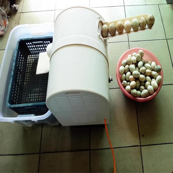 NYMFEA 120w Egg Washer Machine Automatic Egg Cleaning Machine Commercial Chicken Duck Goose Egg Brushing Machine Egg Surface Cleaning Egg Wash Cleaning Machine Duck Egg Cleaning Machine,110V