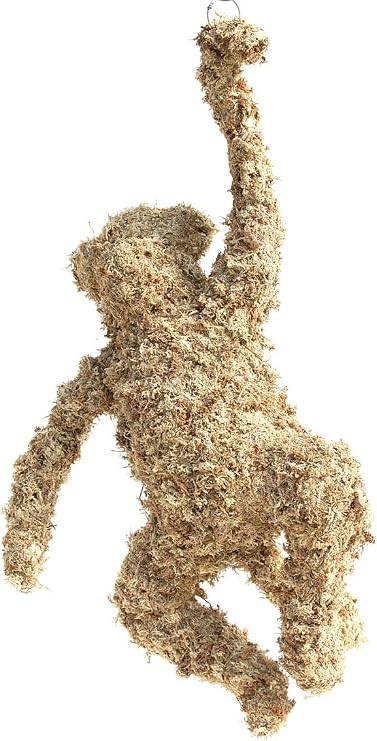 Monkey Topiary (27") Sphagnum Moss Topiary Form