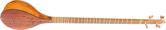 Persian Setar Sehtar with Hard Case