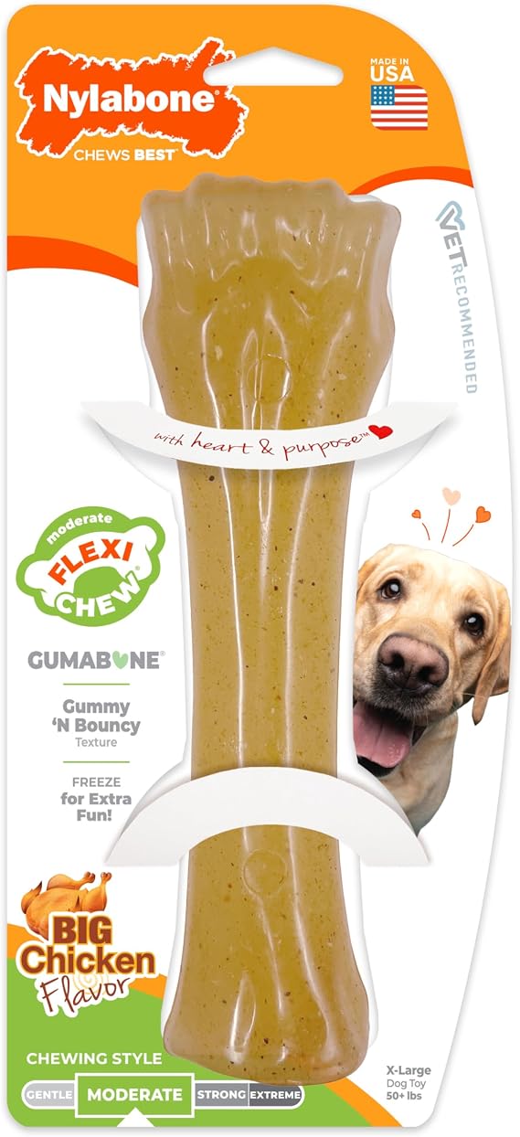 Nylabone Flexi Chew Gumabone Dog Chew Toy, Chicken Flavor, X-Large
