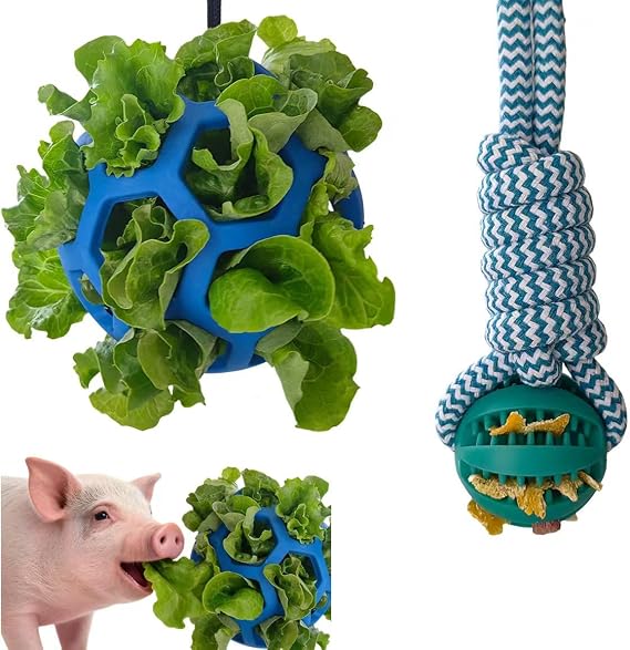 2PCS Pig Enrichment Toys, Mini Pig Supplies, Hanging Chew Ball with Rope + Replaceable Feeder Foraging Ball, Interactive Pig Enrichment Toy Set for Pigs, Treat Dispensing & Chew Activity Toy