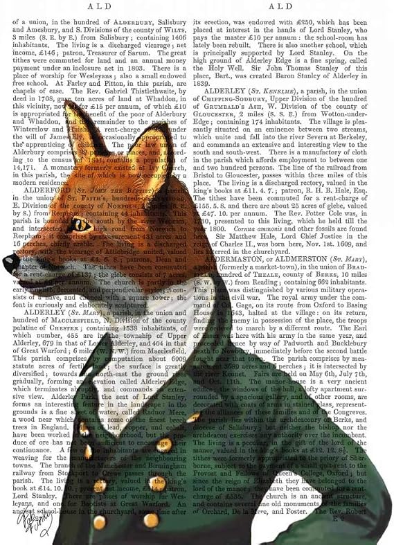 Dandy Fox - Funky Fab Portrait Poster Print (18x24)
