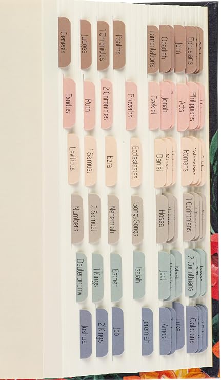 DiverseBee Laminated Bible Tabs, Easy to Read, Petite Size (Macarons)