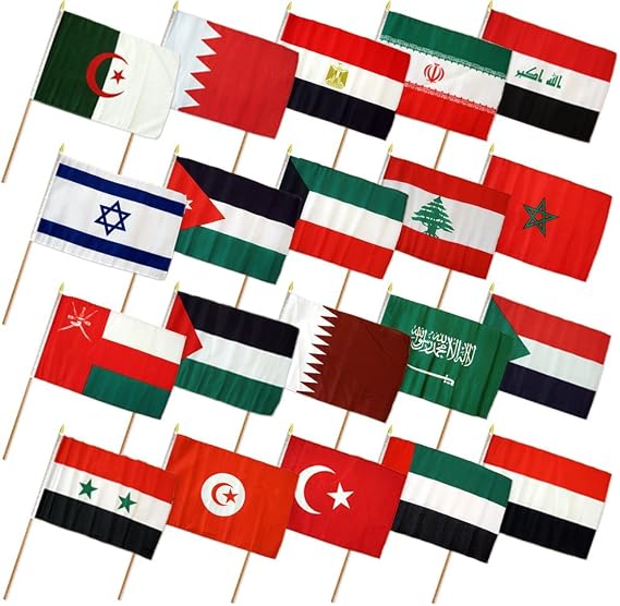 Set of 20 Middle East 12"x18" Stick Flags