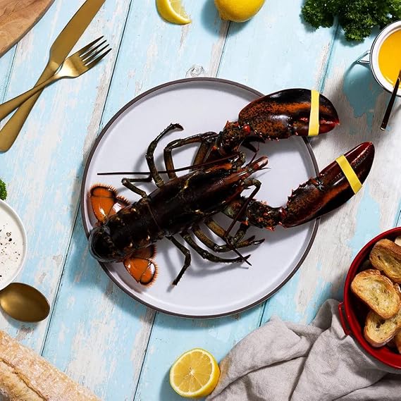 Maine Lobster Now: 1.5 lb Live Maine Lobster (4 Pack)