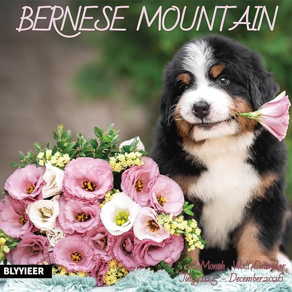 2026 Wall Calendar,Bernese Mountain Wall Calendar, 12" x 24" Open,Family Planner Calendar Organizer with Bernese Mountain dog Images, for Dogs Lovers