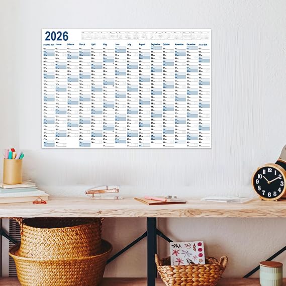 Daily Calendar Large Creative Planner Schedule | Yearly Planner Schedule Calendar for Kitchen Workplace Dorm Home Study Room Gym