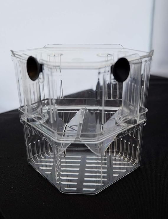 Aquarium Fish Breeder Box for Hatchery, Isolator, Injured Fish, Shrimp Clownfish (BX-007)