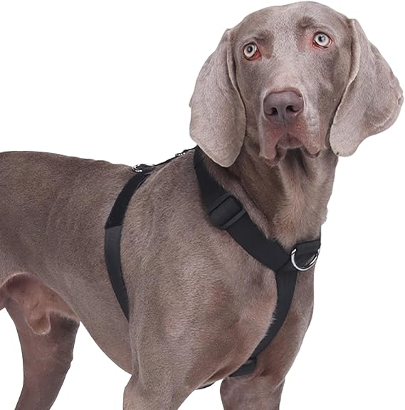 No Pull Dog Harness, Heavy Duty Tactical Dog Harness, Adjustable Soft Padded Pet Vest Harnesses for Medium and Large Dogs Training Walking, Lightweight & Escape-Proof (Black, M)